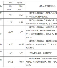 ����������֧�ִ�ʩ��ʮ�������У�  ʵʩϸ��