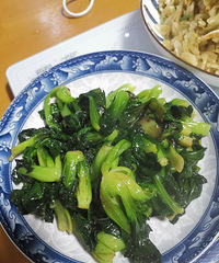 �������ʲô�������͵����㣬�ܴ�һֻ