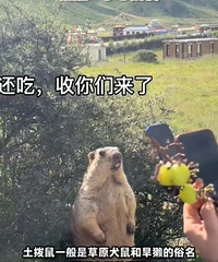 �ҳ�ע��ǧ��Ҫ����ѧ��߸ȥ��������