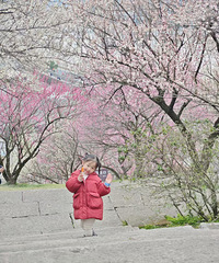 ���Ҹ��ľ���С�϶�������������ְֳ�ȥ��Թ��