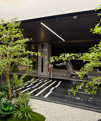 ����һ������200��ķ��ӵġ�������ͣ����