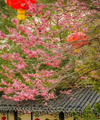 �����¾硶�����塷ȡ�����ع⣡��̨��