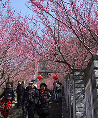 �ų���÷����ʱ�����㸡������Ũ