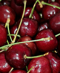 JJ���ĵ��۲���10Ԫ/����ǻ��ҳ���