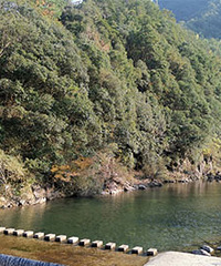 95����������ѧ�������������ҵ�������ٺ�