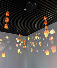 ǰ���С��������ܺó鵽��һֻ�з��