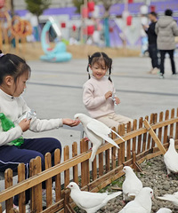 ߣ�����������è