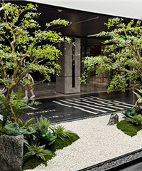 ����200��ķ��ӵġ�������ͣ����