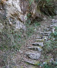 ��ʮ���ڸ״�