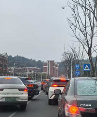 �������Ƕ�������