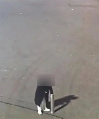 ��Ƶ�ȴ������ӵ��̻�ʱ��ը���������ػ�Ӧ