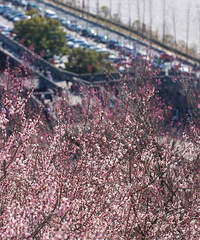 �ٺ����ն������ˣ��ز�ס����ȫ�ز�ס��