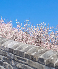 �ٺ����ն������ˣ��ز�ס����ȫ�ز�ס��