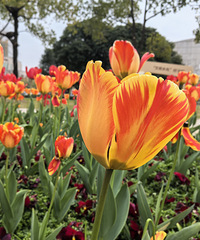 ����㳡��䣬�����㿪�˺�Ư����÷��Ҳ����ͦ��