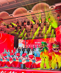 �ȸ��Σ���ʨ�ӣ������ϳ�����