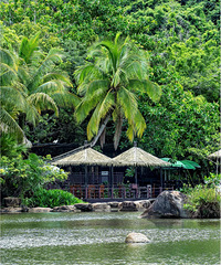 95�д��µ�����ҵ������������Ѱ�����Ե��Ů��