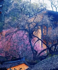 ��ѹ����ڵ��ˣ�̨����Щ�ط���Ҫ����