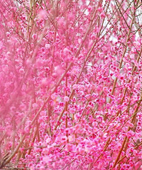 ��ѹ����ڵ��ˣ�̨����Щ�ط���Ҫ����