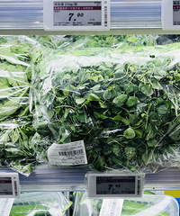 �۸��µ������������У�̨���ϰ壺���ή��