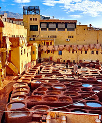 Ⱦ����Ƥ��Ž���