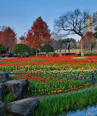 20��Сѧͬѧ�ۻᣬû������Ϊɶ��