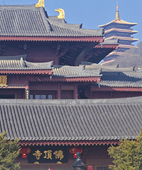 �Ͼ�����