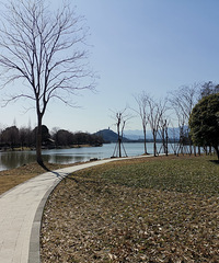 �Ҷ���95�꣬�У�����173CM������65KG����