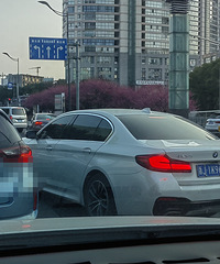 ����������Ӧ�õ�����ʻ֤