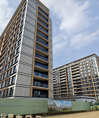 ��ʯ���������