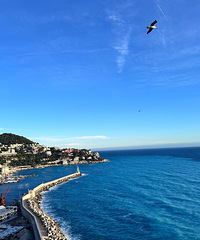 ��˵���Ǽ��������ġ�����������Ҳ��������������ĳ���