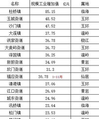 2024��̨�ݸ��������򣨽ֵ�����ģ��ҵ����ֵ��10��Ԫ��