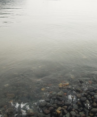 ��᮴��ʯ̲������