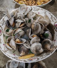 [�����ʲô]���Ʋ�