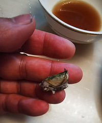 �������ʲô���壬���ֺ����˲����е���ζ����С��