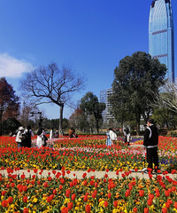 �ںͺϹ�԰���ܴ������Ϣ