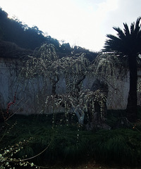 �ŷ�4A����÷׮����������