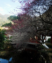 �ŷ�4A����÷׮����������