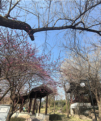 ���ϵ�һ��Ժ