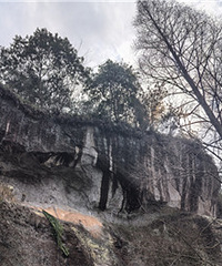 ���ɶ���С���