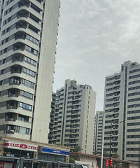 1998����̨�ݣ����ﻹ��һƬׯ�ڵ�