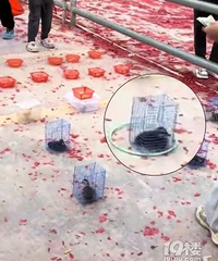 9���к���Ȧһ����19ֻѼ��7ֻС���������ʳ���