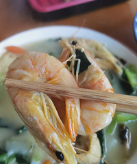 �������ʲô��������