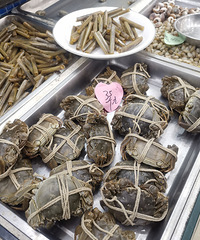 �������ʲô���۲�һ�£���ʲô��ʲô