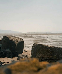 ̨����ע�⣡���������ѩ����ɽ���ֲ��󵽱�ѩ��