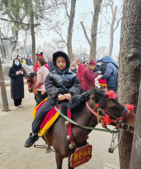 ����ɽ�ܶ������˲��Ǻܶ࣬�ֲ��ñ���˵��һ�����ݾ�ֵ��Ʊ��