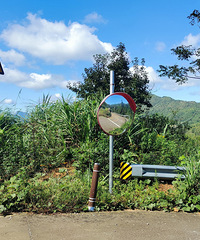 ������꣬�ٴ���ȥ���������������Ĵ�ƽͷ����ˮ�ӹ۾�