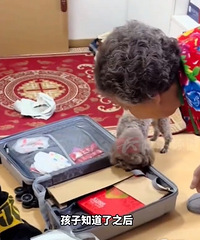 6�����޼�86��̫���̴���һ���ƿ��ֽ��