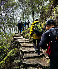 �㵴ɽ���⣬ɽ����������