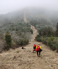 �㵴ɽ���⣬ɽ����������