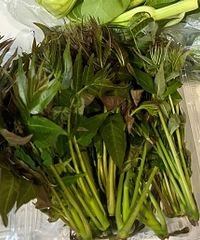 �Զ���g���㴻���ǳ����أ�